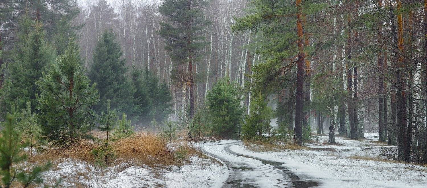 Декабрьская оттепель. Автор: Дмитрий Алексеев , Дмитрий Алексеев