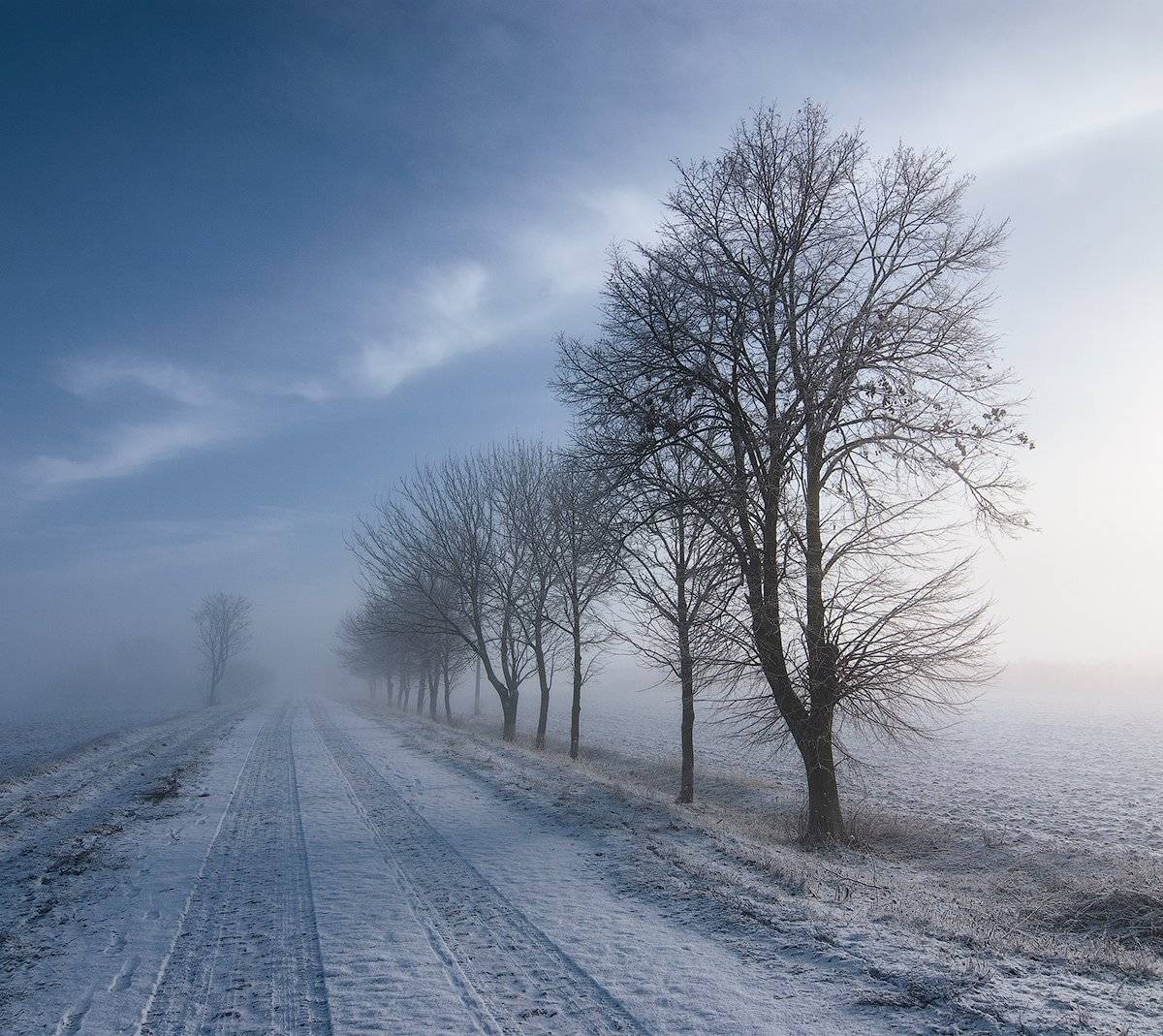 Морозная туманность. Автор: flyman Зима, flyman