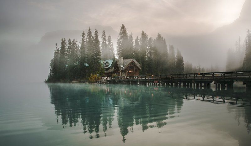 Morning Glory 2photo preview