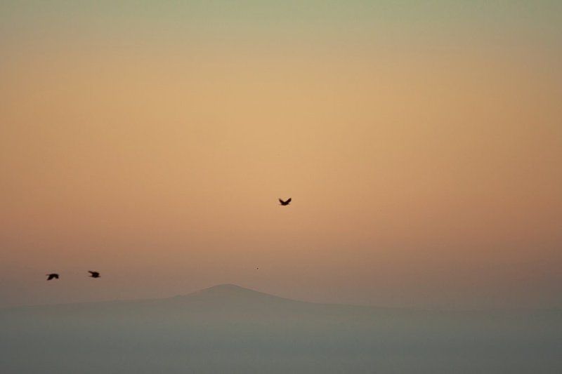 Вид из окнаphoto preview