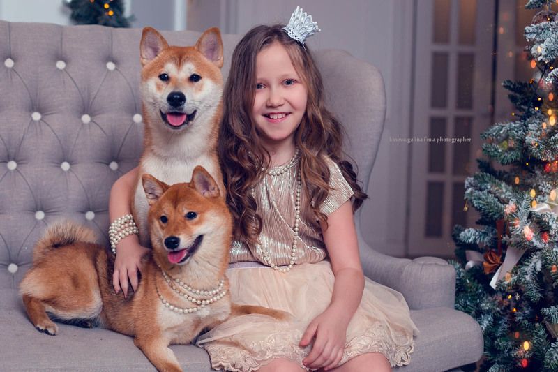 СИБА-ИНY И ЛИЗАphoto preview