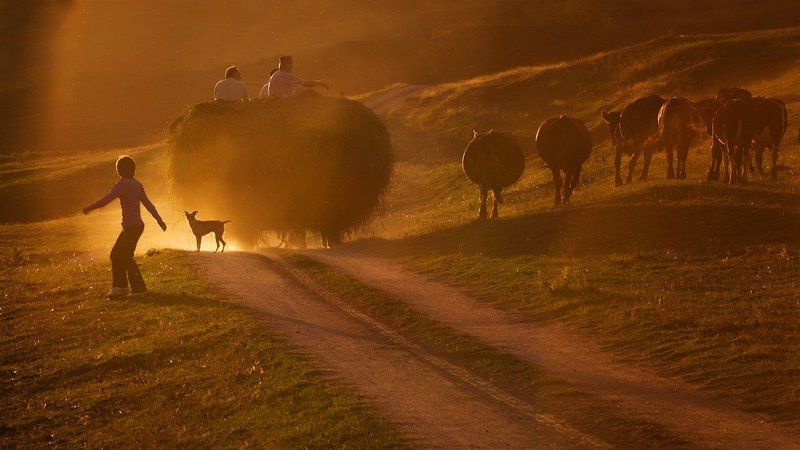 Romania, Country Sidephoto preview