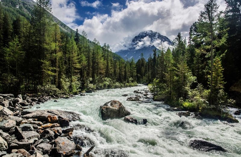 быстрая Кучерлаphoto preview