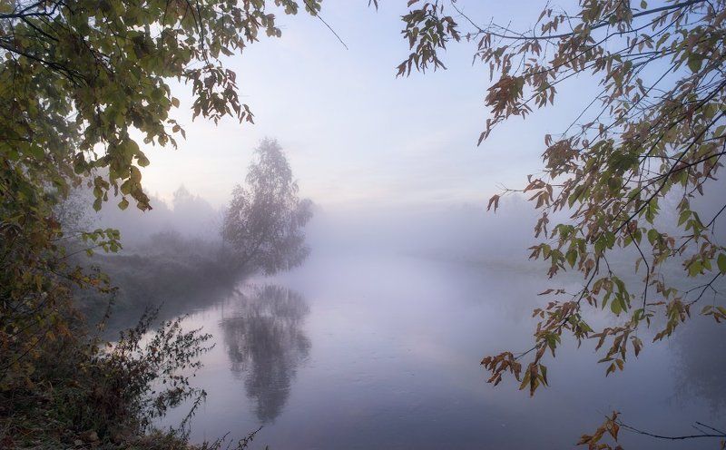 Дерево, Клязьма, Красота, Осень, Река, Россия, Туман В преддверии холодной осени...photo preview