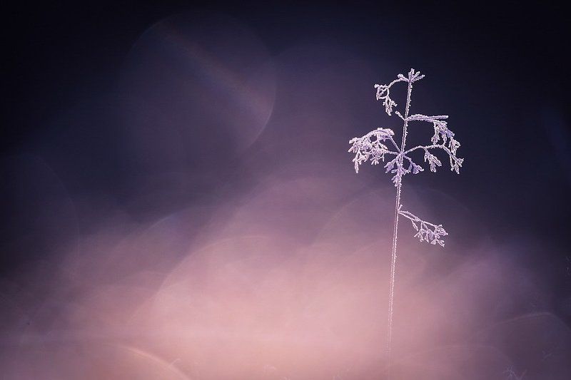 Еще чуть-чуть, еще немножко...photo preview