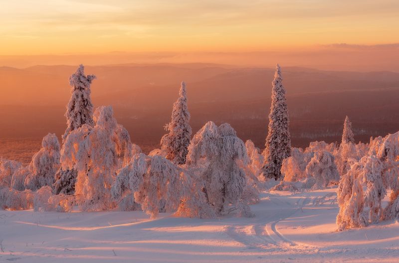 Праздничноеphoto preview