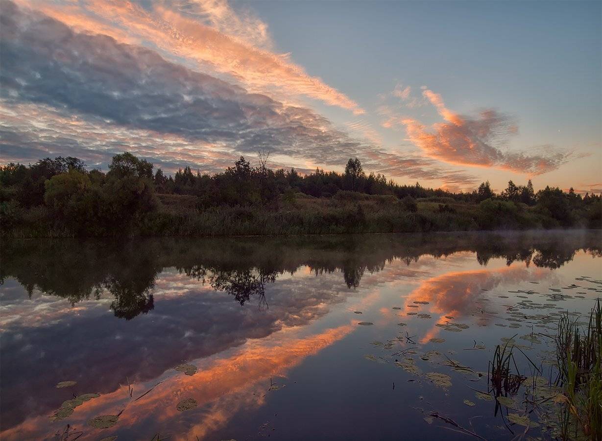 , Владимир Перепечаев