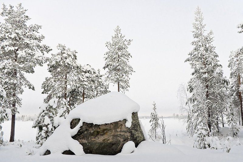 берег, зима, север, Карелия, снег, озеро Заснеженный берегphoto preview