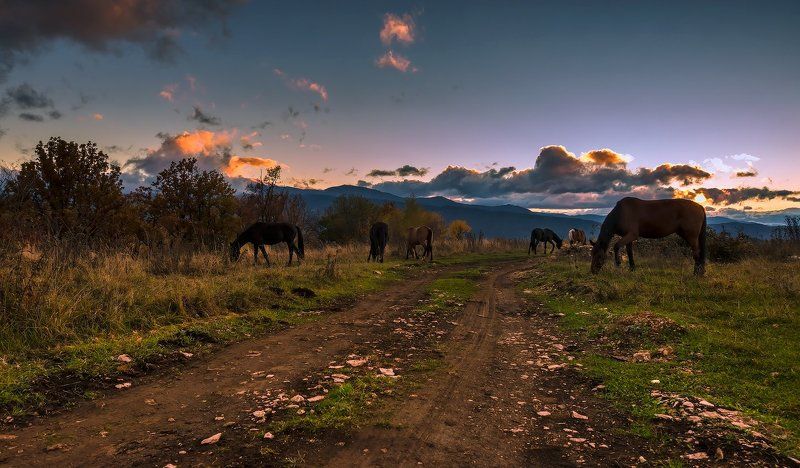 Лошади, Мезмай, Природа Мезмайское ночноеphoto preview