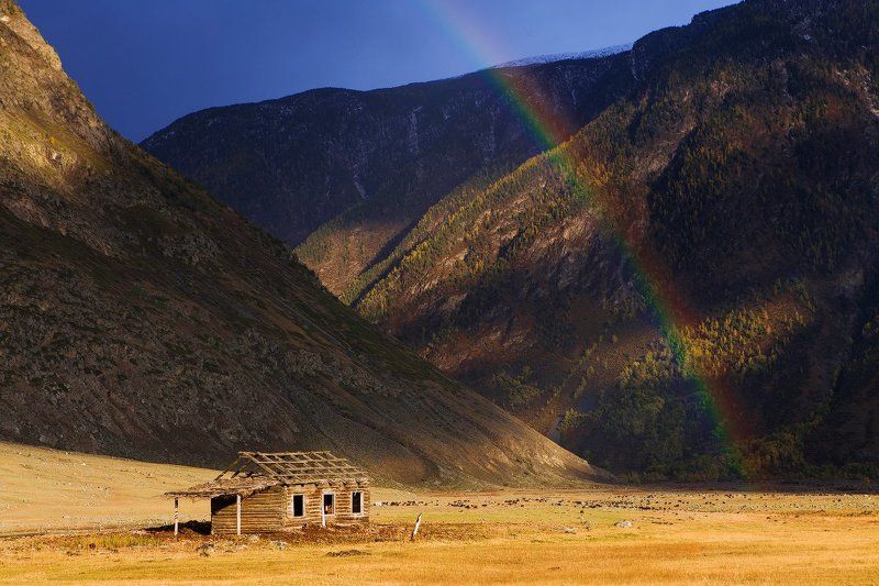 ОДИНОЧЕСТВО И РАДУГА.photo preview