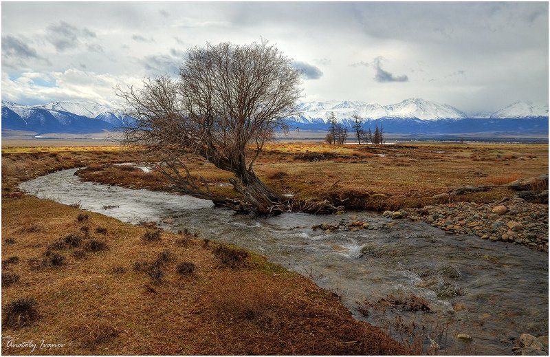 Горный алтай, Курайская степь Весна в Курайской долинеphoto preview