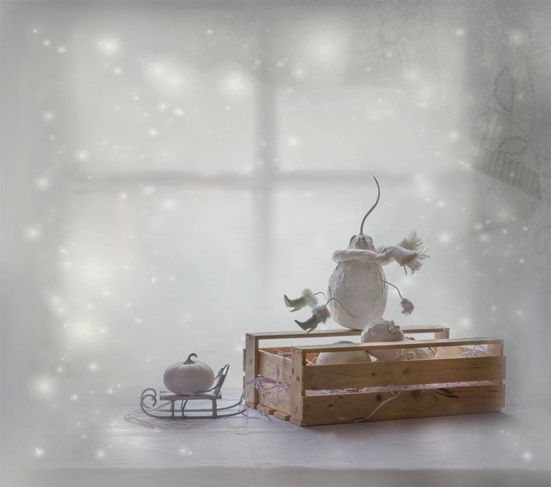 зима, настроение, натюрморт, тыквы, юмор ... Нам бы эту зиму пережить ...photo preview