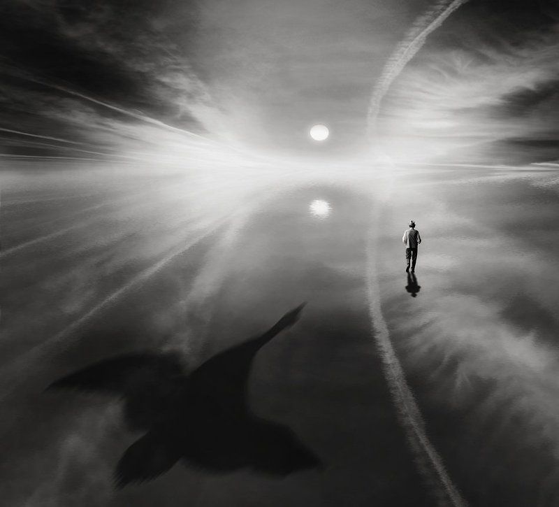 Bird of Freedomphoto preview