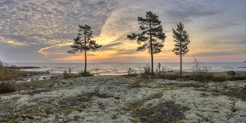осень, утро, остров, озеро Три сосны.photo preview