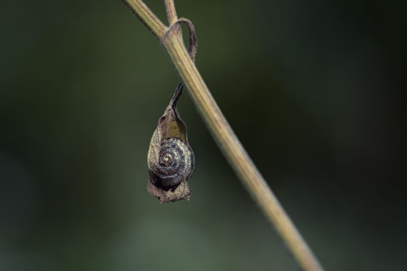 Осень, она не спросит, осень, она придет...photo preview