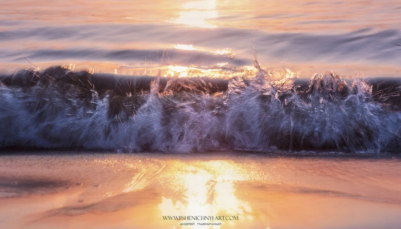 волна, движение, свет, вода, импульс, минимализм, абстракция, концепт, макро Энергия движенияphoto preview