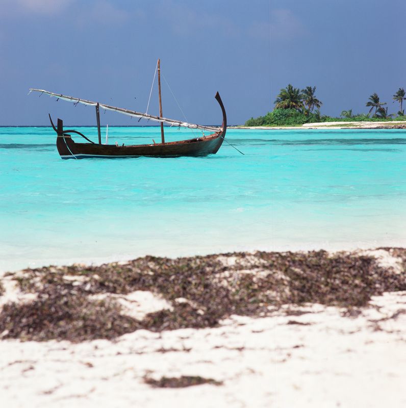 film, medium format, m-format, middle, 120 film, 6x6, 120mm, средний формат, bronica sq-a, bronica, sq-a, zenzabronica, fujifilm, fujichrome, velvia, velvia 100, fujichrome velvia 100, fujifilm velvia 100, fuji velvia 100, fujifilm fujichrome velvia 100 photo preview