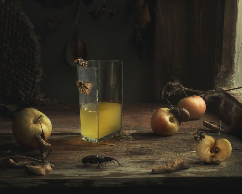 Sidra y cubizmophoto preview