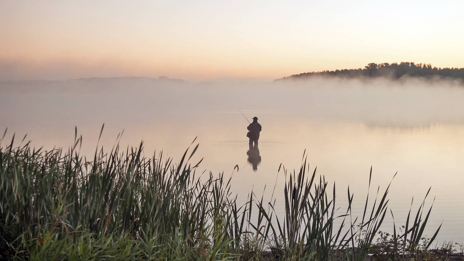 Осенняя рыбалка. Автор: Валерий , Валерий