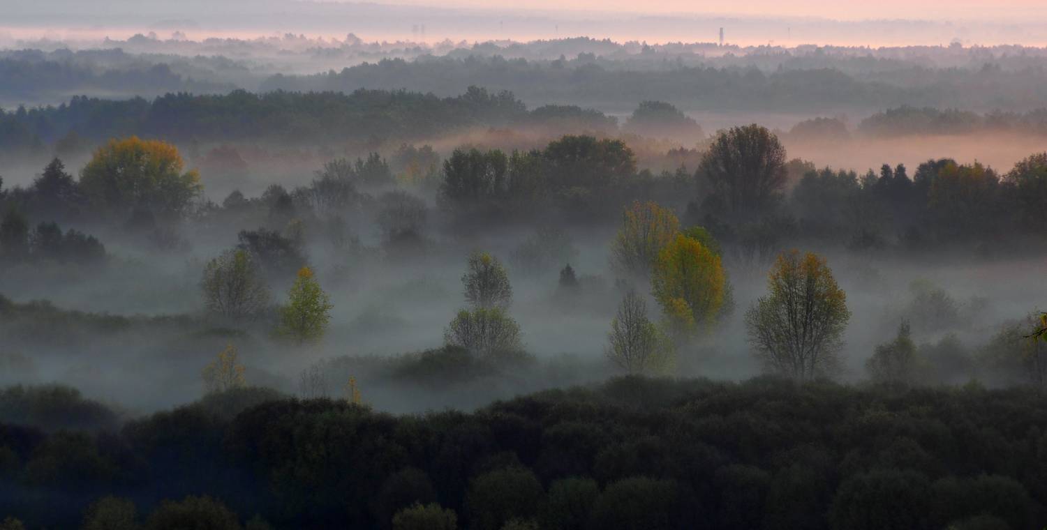 Время туманов. Автор: PERESHEIN ANDREY , PERESHEIN ANDREY