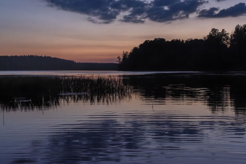 закат вечер озеро остров лес отражение осока Догорает лето....photo preview