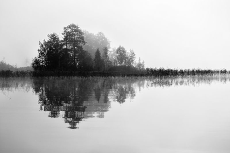 утро озеро туман отражение лес Отбросить все лишнееphoto preview