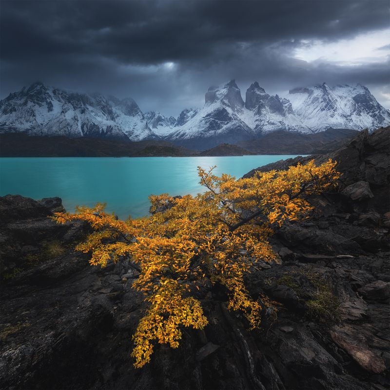 Осень в Торрес-дель-Пайне фото превью