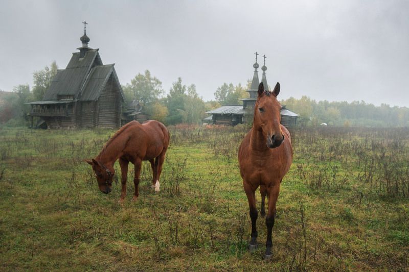 Урочище Введенское-Борисовкаphoto preview