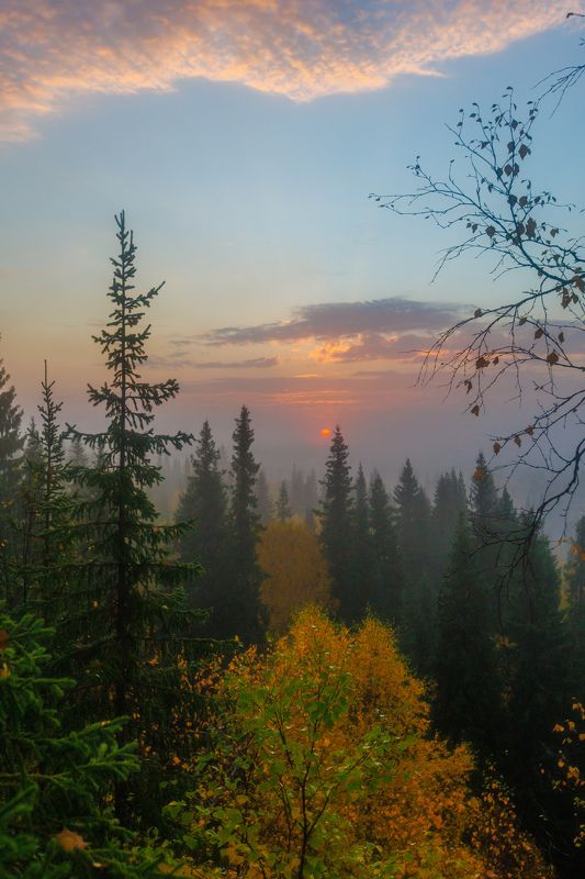 Пробуждение фото превью