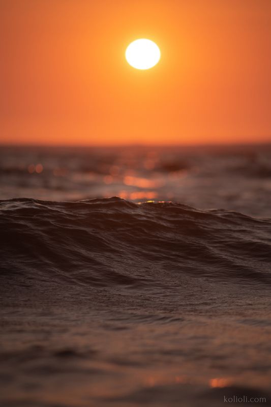 финский залив, ладожское озеро, золотой час, голубой час, закат, сумерки Финский залив и Ладожское озероphoto preview