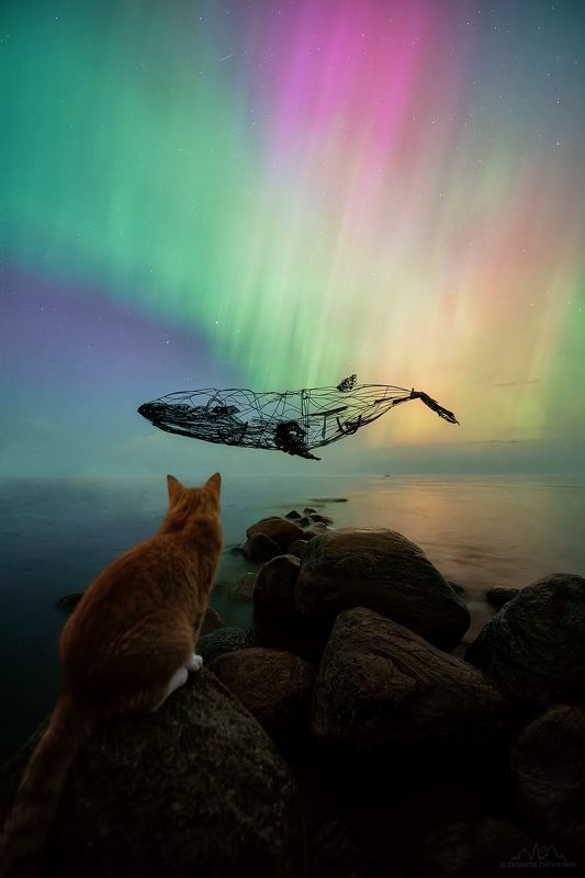 северное сияние, ладожское озеро Когда киты летаютphoto preview