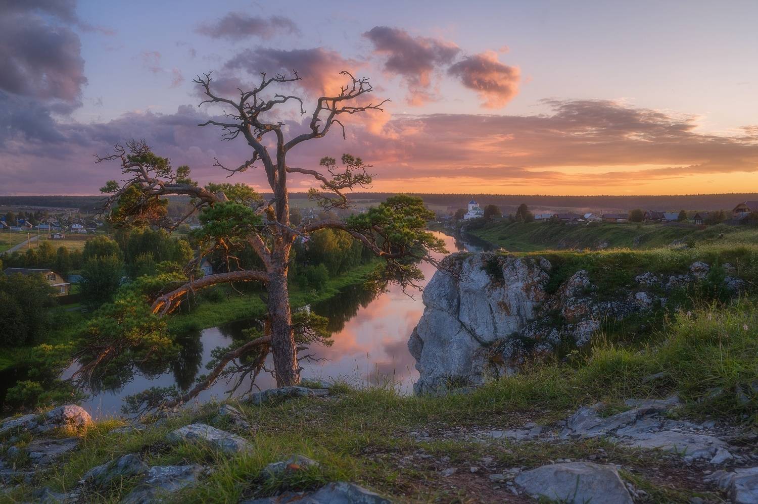Одинокая сосна в красках заката. Автор: Михаил , Михаил