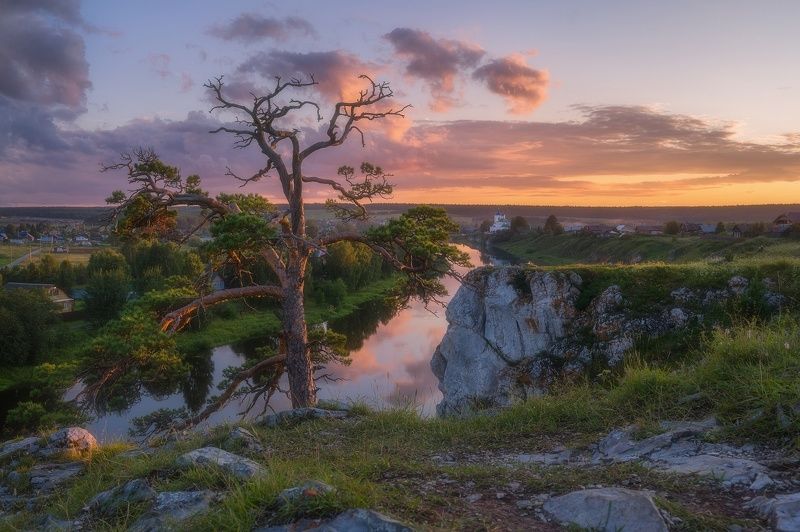 Одинокая сосна в красках закатаphoto preview