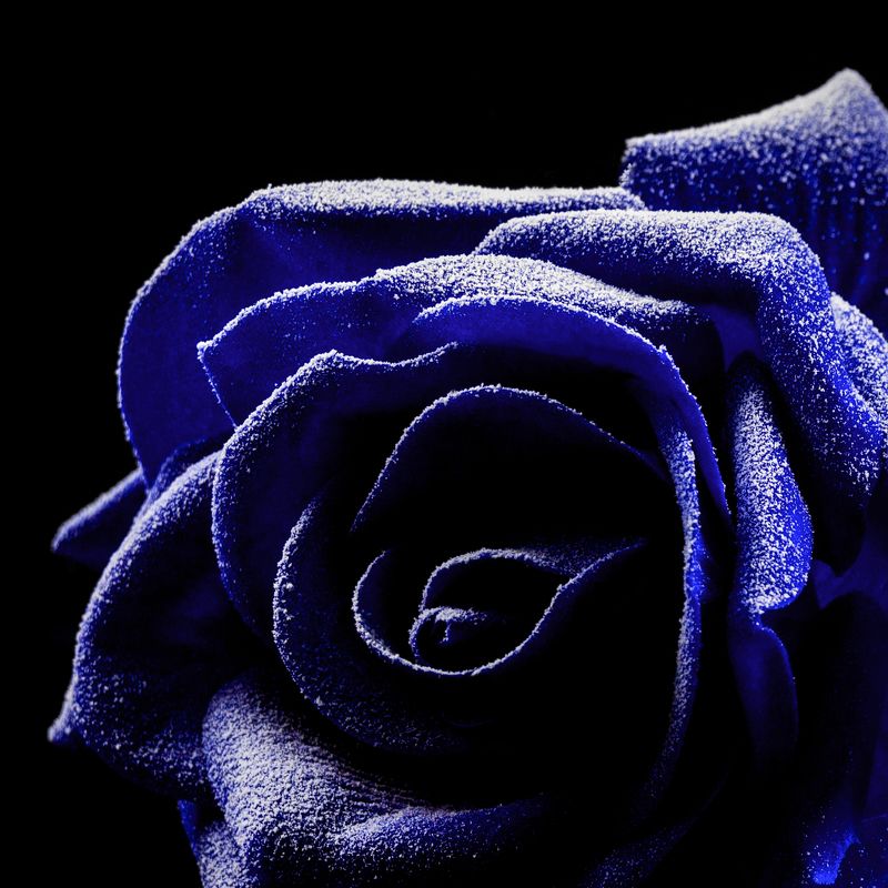 предметка, предметная фотография photo preview