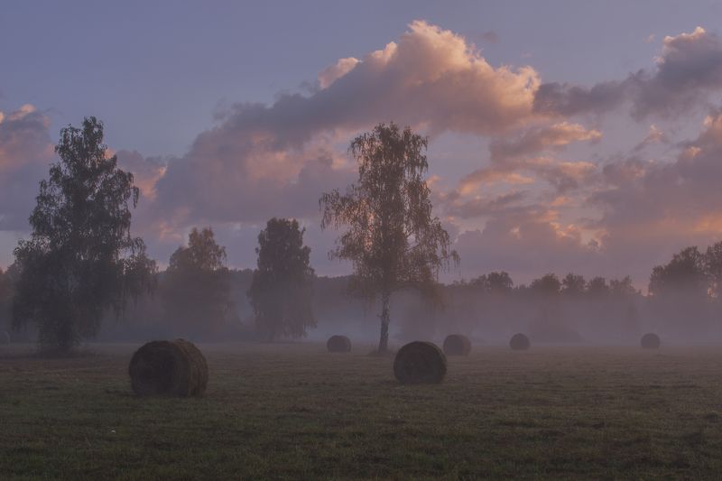 Холодное осеннее утроphoto preview