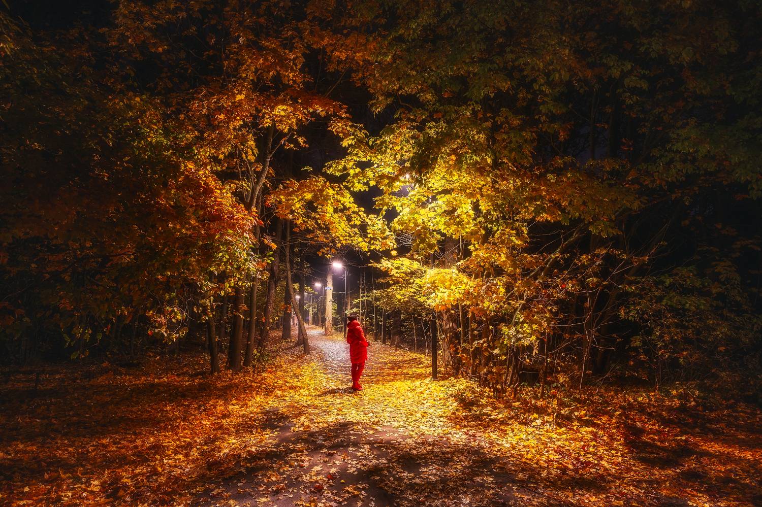 природа, пейзаж, осень, парк, Московская область, клен, кленовый лист, Мартыненко Дмитрий