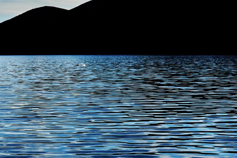 Лебединое озероphoto preview