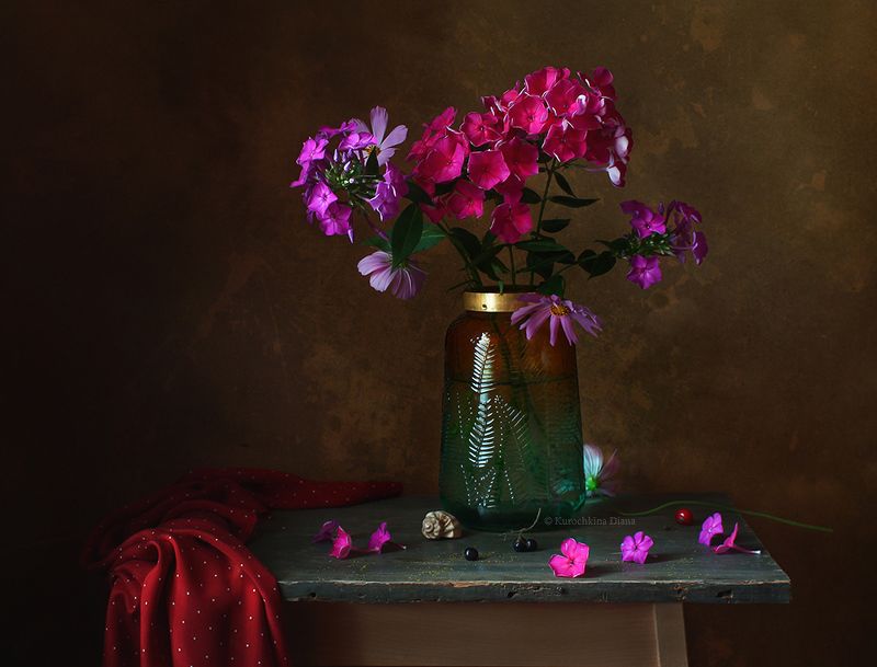 натюрморт, цветы, флоксы photo preview