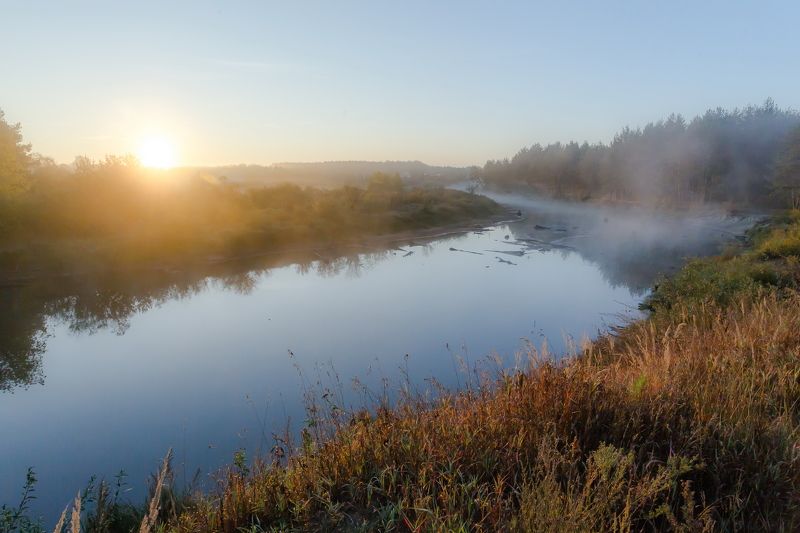 река Пра, утро, туман, осень, пейзаж, природа У тихой рекиphoto preview