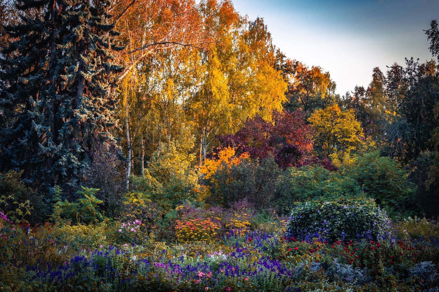 Автор: Щепанов Дмитрий , Щепанов Дмитрий