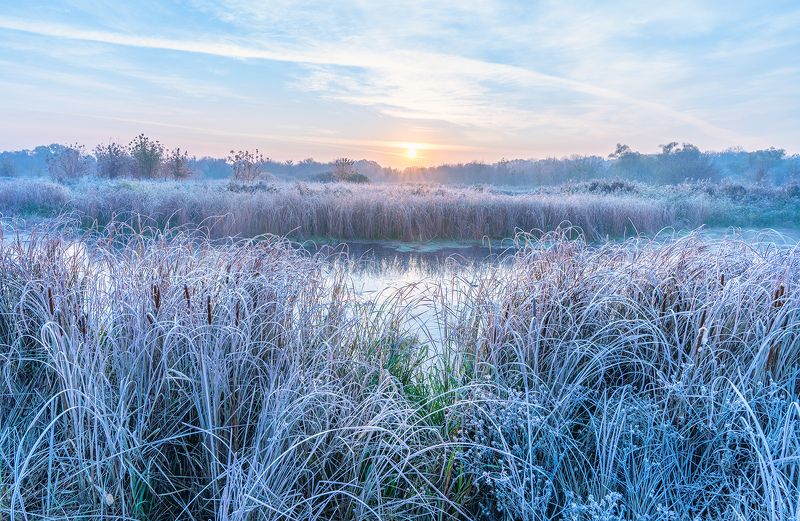 Морозное утроphoto preview