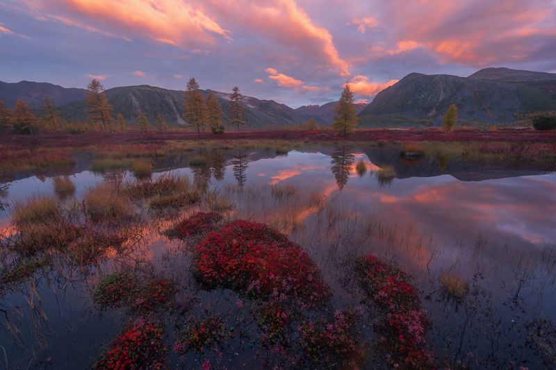 озероджекалондона, колыма, магадан Осенние краски рассвета на Колыме.  Озеро Джека Лондонаphoto preview