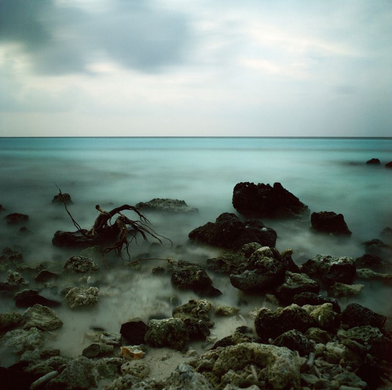 bronica sq-a, bronica, sq-a, zenzabronica, film, плёнка, medium format, m-format, middle, 120 film, 6x6, 120mm, средний формат,  photo preview