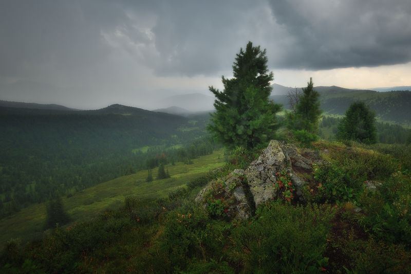 Саяныphoto preview