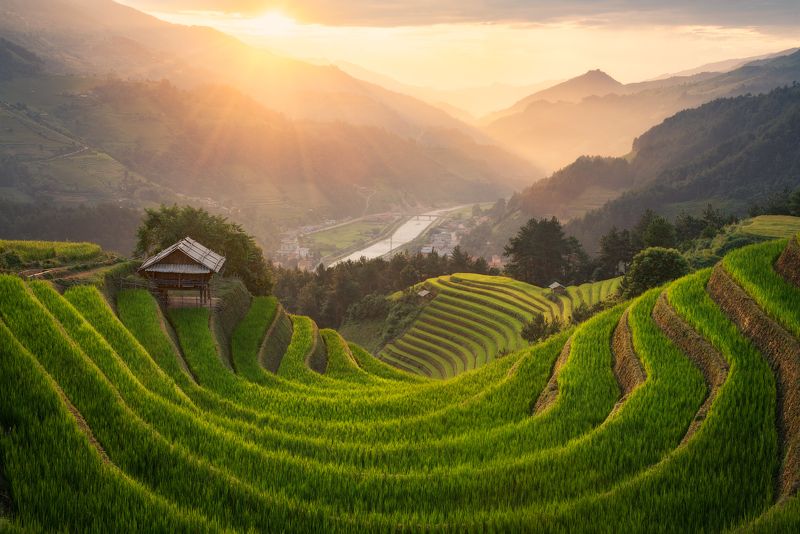 вьетнам, му кан чай, провинция, лао кай, рис, рисовое, поле, терраса, рисовые, террасы, холм, деревня, горы, осень, азия, vietnam, mu cang chai, province, lao cai, rice, paddy, paddies, field, hill, mountain, traditional, hut, terrace, terraces, autumn Му Кан Чай / Mu Cang Chai фото превью