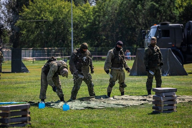 День ВДВ. Показательные выступления фото превью