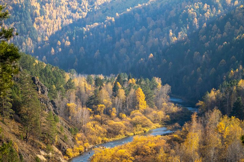 золотая осень, лес, природа, походы Встречаем золотую осень!photo preview