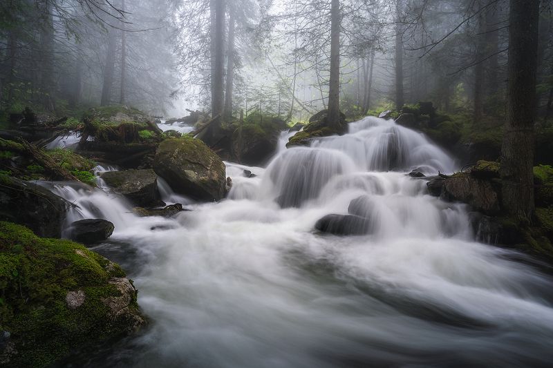 landscape, nature, scenery, forest, wood, mist, misty, fog, foggy, river, longexposure, mountain, rocks, rila, bulgaria, туман, лес Riverside nookphoto preview