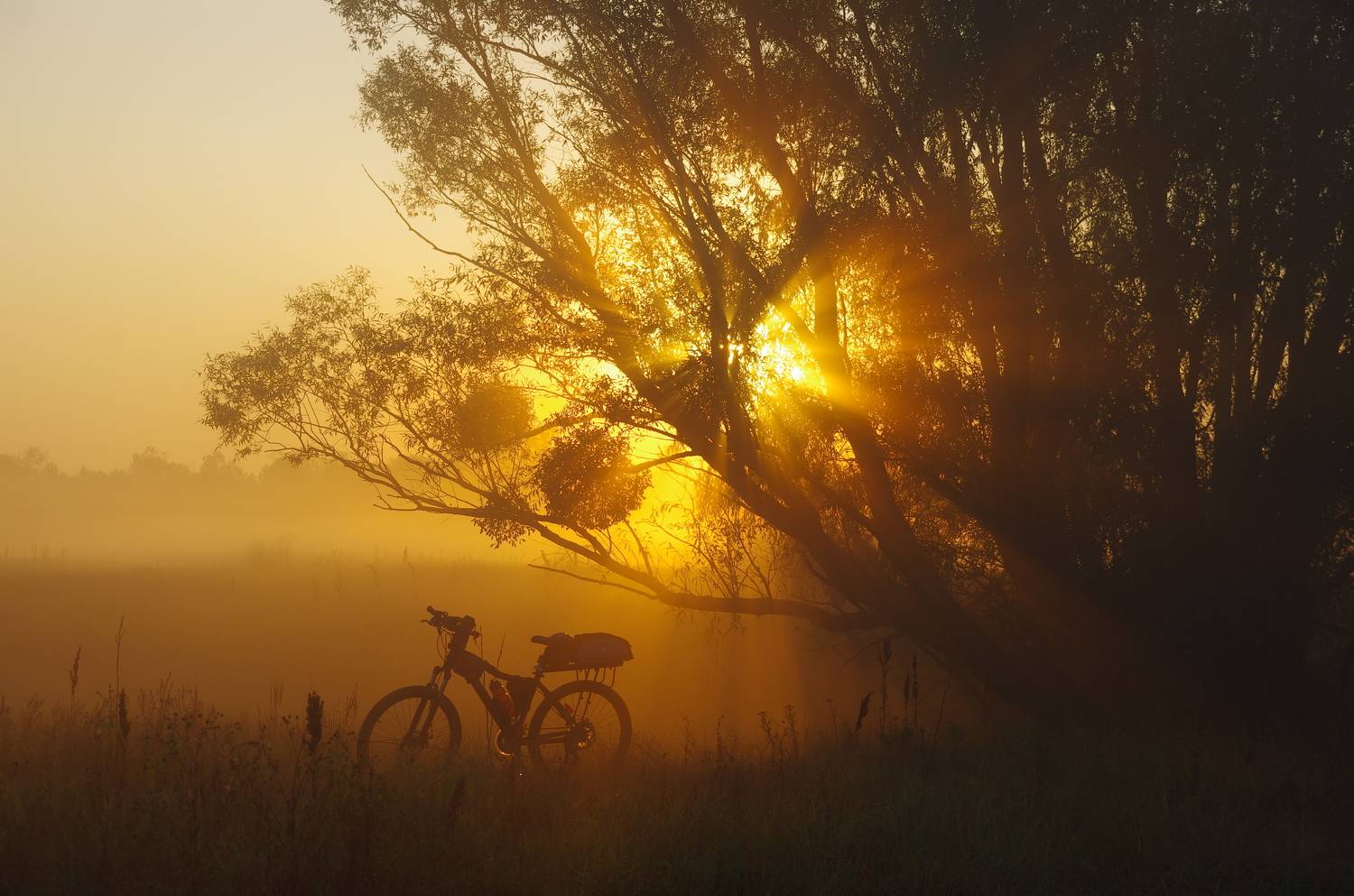 Встречая утро. Автор: Шляга Сергей , Шляга Сергей