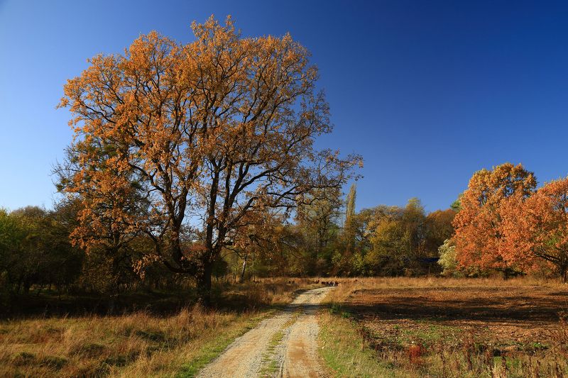 карачаево, черкессия, кчр, осень photo preview